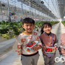 성암초교 병설유치원 이미지