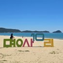 완도곰어촌카페