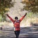 물의정원*11월2일 이미지