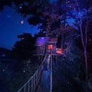 광교마을로 2 이미지