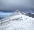 02월02일(목) 제185차 정기산행, 광주 무등산(1,187m).눈꽃산행 이미지