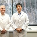 비전파마 이미지