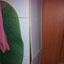 [질문]빌라 화장실 타일 벌어짐!! 이미지