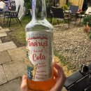 머문화이트앤블랙 | 노상 피자 ‘프릴리 피자(Freely Pizza)’ 후기｜화이트앤블랙 피자 맛집 + 로컬 소다까지 완벽 리뷰