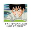 코스모스장 이미지