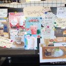 리틀 빈후 이미지