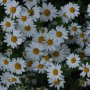 영남목장 이미지