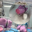 뽑신뽑왕 이미지