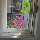 상동139카센타 이미지