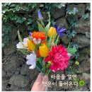 행운 - 기장군 월전1길 35 | 행운