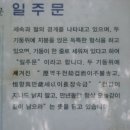 여주삿갓봉민물매운탕(추어탕) | 김조원의 여행일기(7) 치악산 구룡사