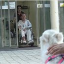 못된 강아지 이미지