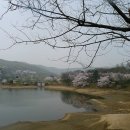 호암미술관 이미지