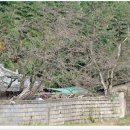 율리영해로 이미지