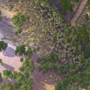 자연송림 이미지