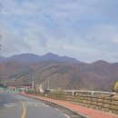 젤루느린달팽이 이미지