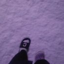 클로버치과의원 | 2025년 12/1~12/7