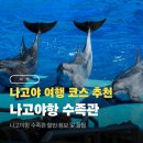 한국에코산업㈜ | 나고야 여행 코스 추천 나고야항 수족관 후기 할인 정보 공유