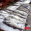 동해어업관리단 이미지