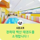 백산 태권도 이미지