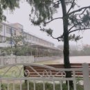 거제제일고등학교 이미지