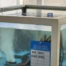 기장바다장어구이 이미지