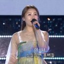 소나비 이미지