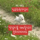 네일엠씨 이미지