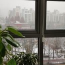 한사랑치과 이미지