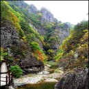 10월23일 주왕산국립공원 절골계곡 단풍산행 이미지