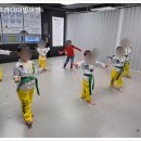 경희대 최강 MTA 태권도 네이버블로그