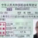 돌고래카 이미지