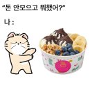 요거트아이스크림의정석 네이버블로그
