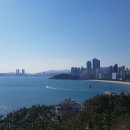 큰바다 대구탕 이미지