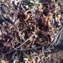 미자농장 이미지