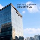 더피플라이프 후기 결혼 준비 끝에 찾은 선택