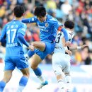 치열 카카오 검색결과