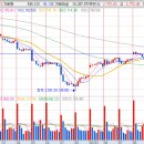 디와이메디칼 이미지