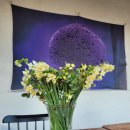 그리몽하우스 이미지