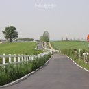 알라딘목장 이미지