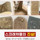 에이치공구 | [내돈내산] 고양이 스크래쳐) 유피에이치펫 반영구 백년애 오래쓰는 스크래쳐