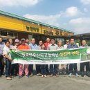 홍천사랑말 TMR 이미지