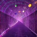 밀양대공원로 이미지