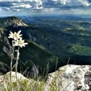 에델바이스 노래방 이미지