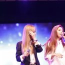 일팔팔 이미지