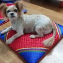 청실주단 이미지