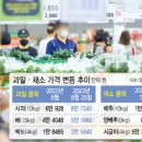 야채;과일3 이미지