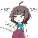 시나미 이미지