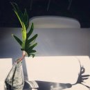 무주인게스트하우스 이미지