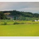 평양예술단아리랑공연 이미지